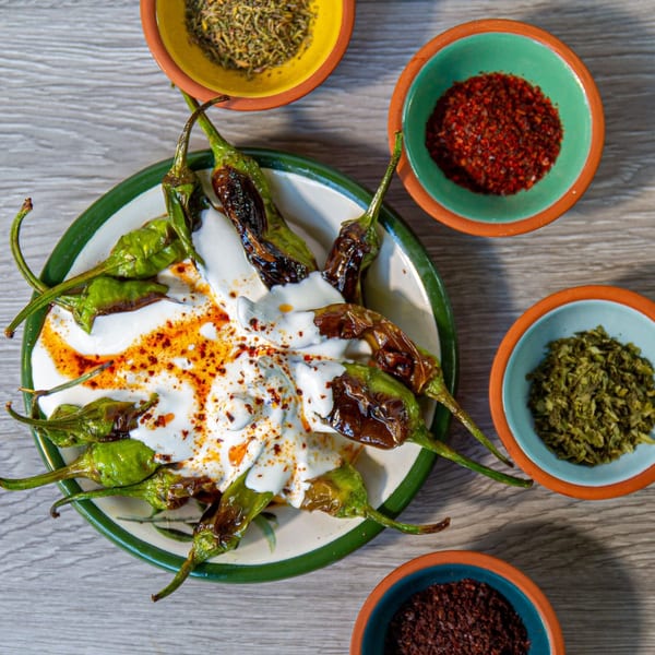 Turkish grilled green peppers with yogurt sauce and chili oil, surrounded by spice bowls.